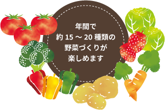 年間で約15〜20種類の野菜づくりが楽しめます