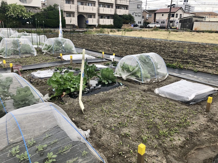 野菜づくり2回目。今回は土作りを行いました。