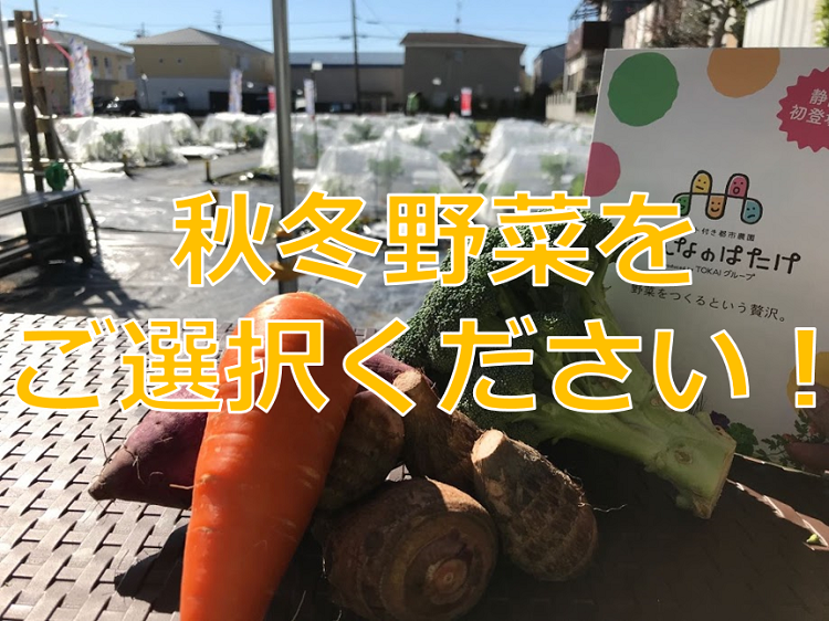 【ご選択期間終了】秋冬野菜のご案内