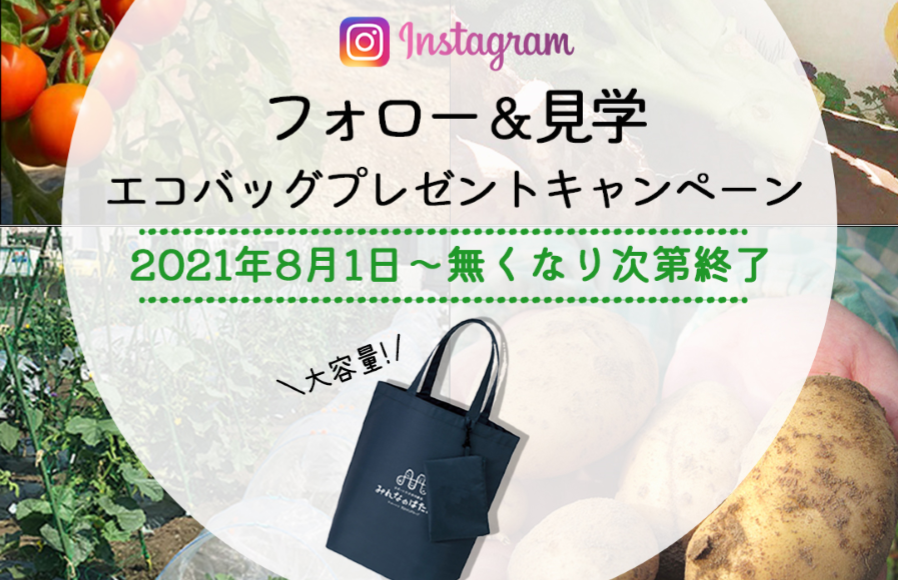 Instagramフォロー＆見学キャンペーン実施中！