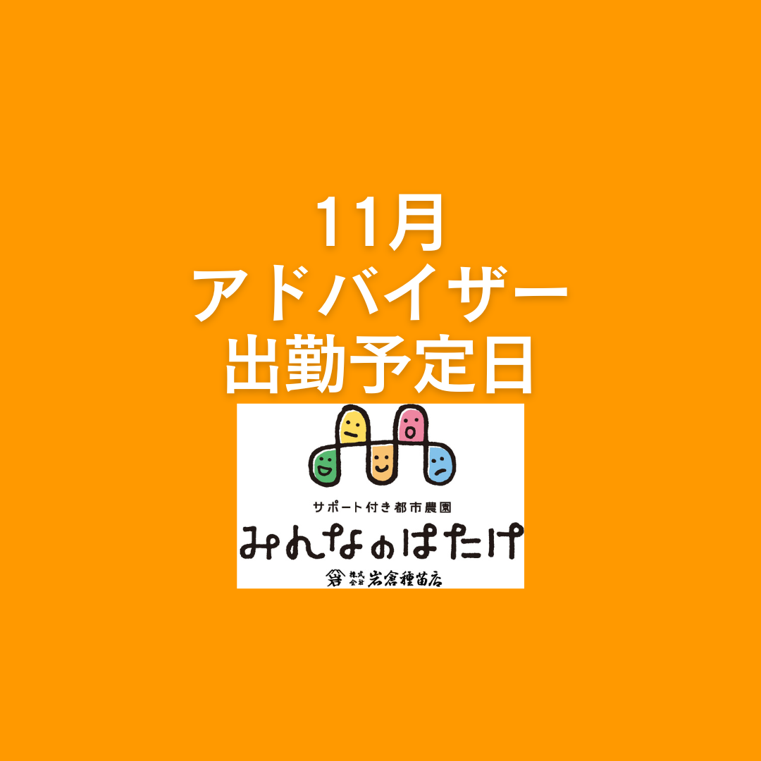 11月の菜園アドバイザー勤務予定